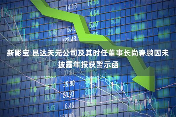 新影宝 昆达天元公司及其时任董事长尚春鹏因未披露年报获警示函