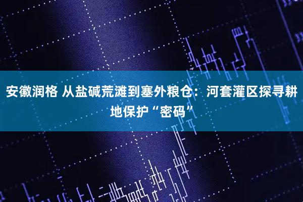 安徽润格 从盐碱荒滩到塞外粮仓：河套灌区探寻耕地保护“密码”