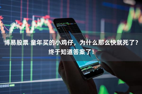 博易股票 童年买的小鸡仔，为什么那么快就死了？终于知道答案了！