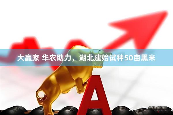 大赢家 华农助力，湖北建始试种50亩黑米