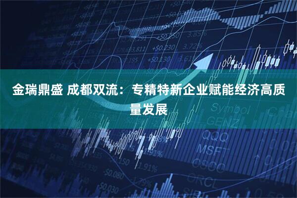金瑞鼎盛 成都双流：专精特新企业赋能经济高质量发展