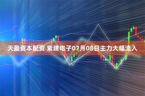 天盈资本配资 紫建电子07月08日主力大幅流入