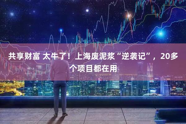 共享财富 太牛了！上海废泥浆“逆袭记”，20多个项目都在用