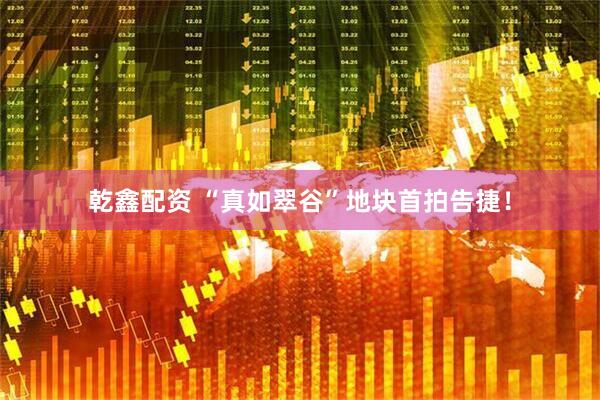 乾鑫配资 “真如翠谷”地块首拍告捷！