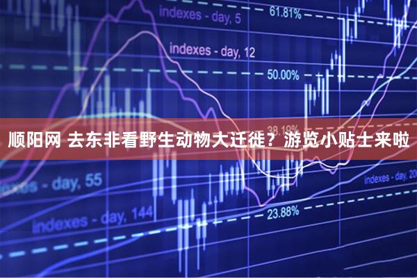 顺阳网 去东非看野生动物大迁徙？游览小贴士来啦
