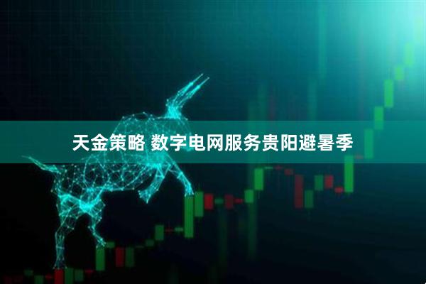 天金策略 数字电网服务贵阳避暑季