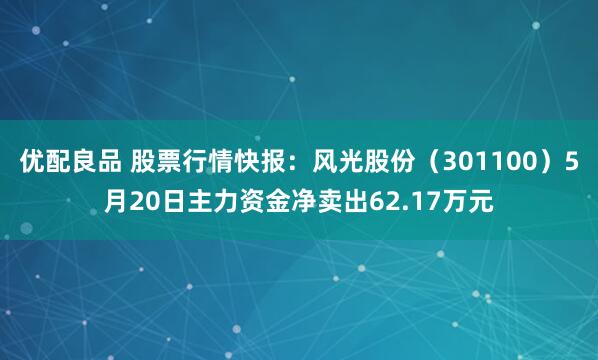 优配良品 股票行情快报：风光股份（301100）5月20日主力资金净卖出62.17万元
