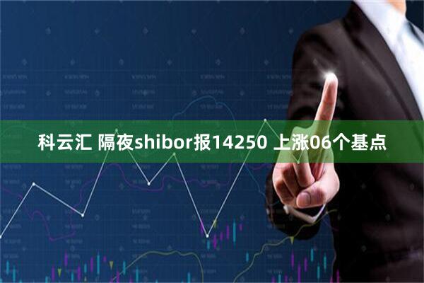 科云汇 隔夜shibor报14250 上涨06个基点