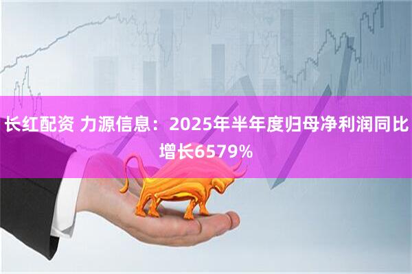 长红配资 力源信息：2025年半年度归母净利润同比增长6579%